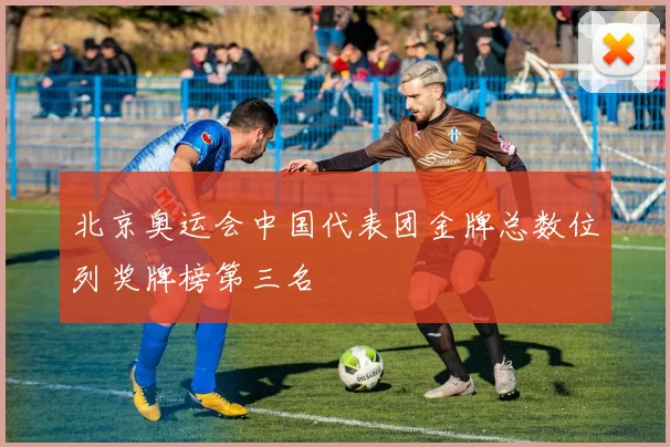 北京奥运会中国代表团金牌总数位列奖牌榜第三名