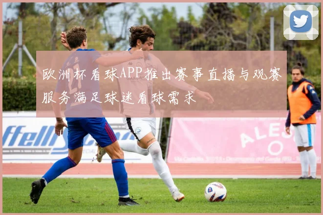欧洲杯看球APP推出赛事直播与观赛服务满足球迷看球需求