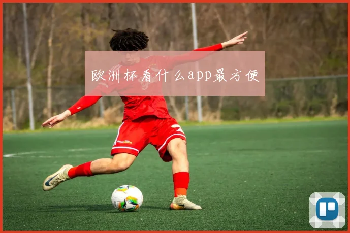 欧洲杯看什么app最方便